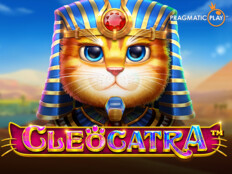 Hamster sahiplendirme. Bitcoin slots casino.33